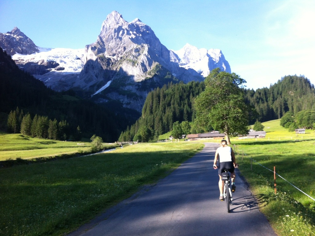 Gschwandtenmad - Blick auf Dossenhorn (l), Wellhorn (m) und Wetterhorn (r) 20130726-121514.jpg